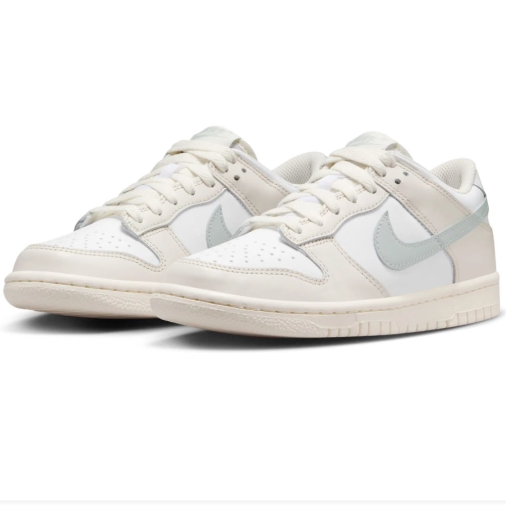 Nike Dunk Low Shoes
